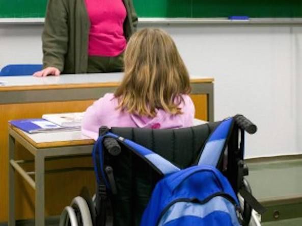 Una giovane alunna in sedia a rotelle ritratta di spalle al suo banco all’interno della classe.