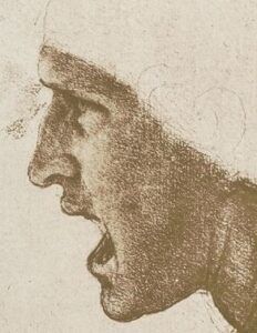 Particolare di uno studio per la testa di un soldato nella Battaglia di Anghiari (ca. 1504-1505) di Leonardo da Vinci. Immagine tratta dalla copertina del libro di Stefano Rodotà “Il diritto di avere diritti” (Laterza, 2012).