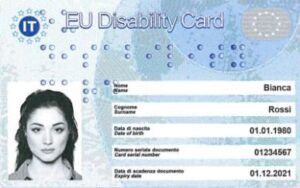 La Disability Card italiana è simile ad altre tessere magnetiche, ma contiene gli estremi della persona titolare e una fotografia della stessa, alcune informazioni sono in Braille.