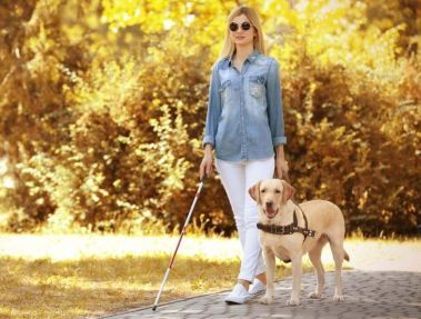 Una donna cieca con il proprio cane guida.