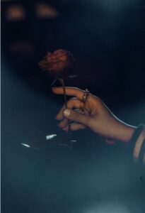 In un ambiente poco illuminato una mano femminile con qualche anello regge lo stelo di una rosa rossa recisa e piuttosto scura (foto di Nothing Ahead su Pexels).