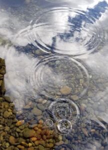 Alcuni sassi lanciati in uno stagno increspano la superfice dell’acqua con piccole onde concentriche.