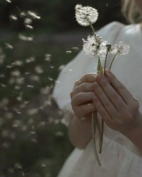Particolare di una bambina che tiene tra le mani dei soffioni (il taràssaco comune) i cui frutti si spargono nell’aria (foto di Anastasia Shuraeva su Pexels).